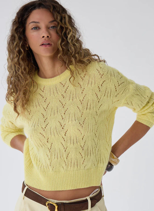 Autumn Cashmere Allover Crew