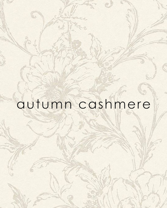 Autumn Cashmere Shrunken Crew