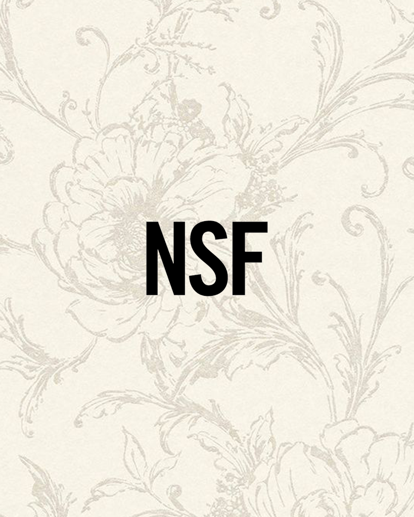 NSF Marco Crop Vintage Crew